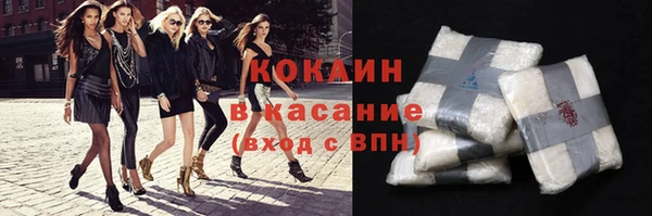 шишки Михайлов