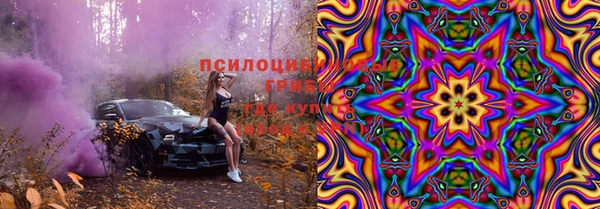 шишки Михайлов